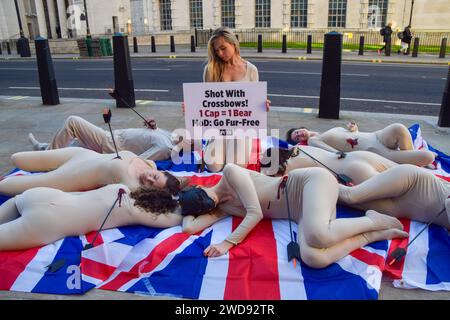 Londres, Royaume-Uni. 19 janvier 2024. Les militants du PETA (People for the Ethical Treatment of Animals) avec des flèches collées sur leur corps et certains portant des masques d'ours organisent une manifestation "die-in" sur les Union Jacks devant le ministère de la Défense pour protester contre l'utilisation de fourrure d'ours véritable dans les casquettes des King's Guards. Le groupe de défense des droits des animaux déclare qu'il a fallu un ours pour fabriquer un bonnet et appelle le ministère de la Défense à passer à une fausse fourrure plus humaine. Crédit : SOPA Images Limited/Alamy Live News Banque D'Images