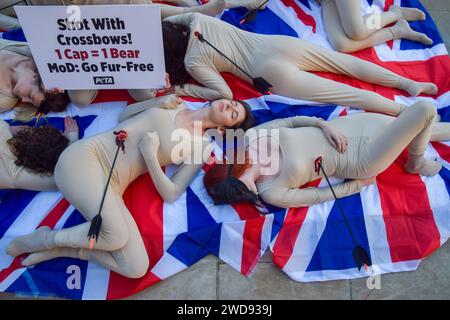 Londres, Royaume-Uni. 19 janvier 2024. Les militants du PETA (People for the Ethical Treatment of Animals) avec des flèches collées sur leur corps et certains portant des masques d'ours organisent une manifestation "die-in" sur les Union Jacks devant le ministère de la Défense pour protester contre l'utilisation de fourrure d'ours véritable dans les casquettes des King's Guards. Le groupe de défense des droits des animaux déclare qu'il a fallu un ours pour fabriquer un bonnet et appelle le ministère de la Défense à passer à une fausse fourrure plus humaine. (Photo de Vuk Valcic/SOPA Images/Sipa USA) crédit : SIPA USA/Alamy Live News Banque D'Images