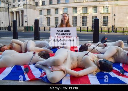 Londres, Royaume-Uni. 19 janvier 2024. Les militants du PETA (People for the Ethical Treatment of Animals) avec des flèches collées sur leur corps et certains portant des masques d'ours organisent une manifestation "die-in" sur les Union Jacks devant le ministère de la Défense pour protester contre l'utilisation de fourrure d'ours véritable dans les casquettes des King's Guards. Le groupe de défense des droits des animaux déclare qu'il a fallu un ours pour fabriquer un bonnet et appelle le ministère de la Défense à passer à une fausse fourrure plus humaine. (Photo de Vuk Valcic/SOPA Images/Sipa USA) crédit : SIPA USA/Alamy Live News Banque D'Images