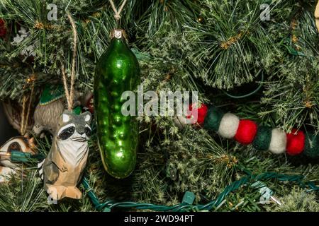 Cacher le Christmas Pickle Banque D'Images