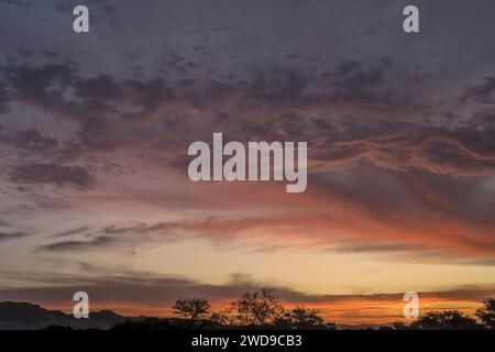 Paysage avec des nuages rouges de coucher de soleil pittoresque sur les arbres au bord du désert à Serisem, tourné dans la lumière brillante du crépuscule de la fin du printemps dans le désert de Naukluft, Namibie, AF Banque D'Images