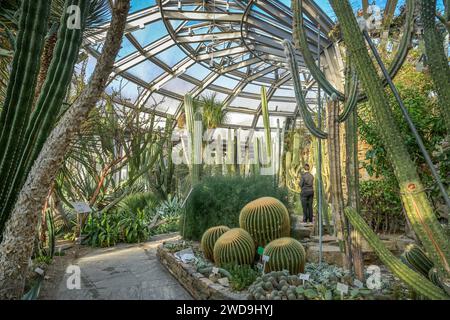 Gewächshaus Kakteenhaus, Botanischer Garten, Lichterfelde, Steglitz-Zehlendorf, Berlin, Deutschland Banque D'Images