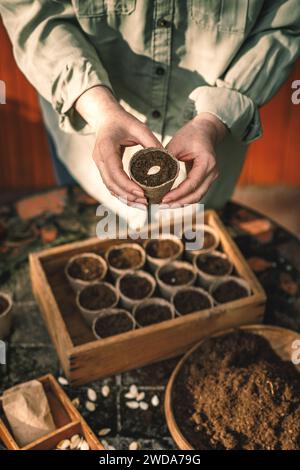 Jardinage printanier et semis. Planter des graines de citrouille pour germination dans des pots de tourbe biodégradables Banque D'Images