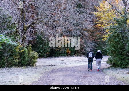 Couple marchant le long d'un chemin adapté, Ordesa i Monte Perdido Parc National, province de Huesca, Aragon Banque D'Images