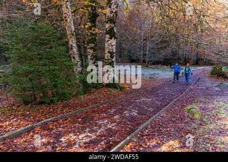 Couple marchant le long d'un chemin adapté, Ordesa i Monte Perdido Parc National, province de Huesca, Aragon Banque D'Images
