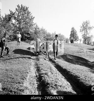 Comté de Vrancea, Roumanie, env. 1978. Agriculteurs sur un chemin de terre avec un chariot tiré de bétail. Banque D'Images