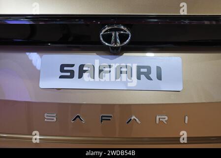 Ahmedabad, Inde. 13 janvier 2024. Un logo Tata Safari est affiché sur la voiture au vibrant salon mondial du Gujarat à Ahmedabad. Vibrant Gujarat Global Trade Show est une plate-forme pour amener les investisseurs indiens et internationaux à investir dans l'État, créant ainsi des opportunités d'affaires et d'emploi pour des milliers de personnes et renforçant l'économie. (Photo Ashish Vaishnav/SOPA Images/Sipa USA) crédit : SIPA USA/Alamy Live News Banque D'Images