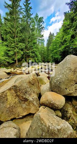 Paysage magnifique - dans le contexte d'une forêt verte, une rivière de montagne coule, traversant d'énormes pierres de montagne et des rochers tombés du Banque D'Images