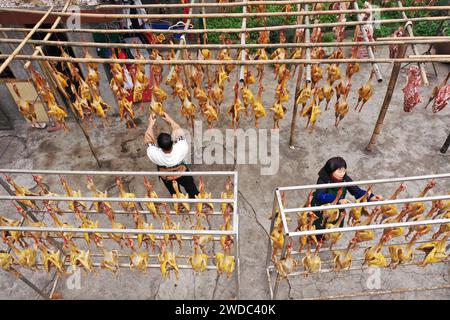 MEISHAN, CHINE - 19 JANVIER 2024 - les gens sèchent leur propre poulet séché à l'air libre dans la communauté de Luoping, dans la ville de Meishan, province du Sichuan, en Chine, le 19 janvier 202 Banque D'Images