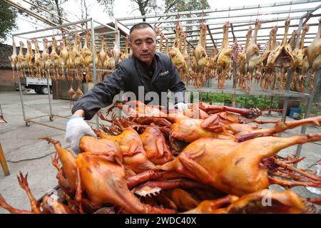 MEISHAN, CHINE - 19 JANVIER 2024 - les gens sèchent leur propre poulet séché à l'air libre dans la communauté de Luoping, dans la ville de Meishan, province du Sichuan, en Chine, le 19 janvier 202 Banque D'Images