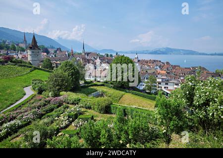 Vue de la roseraie au Guggi au Zytturm, tour Capucin et église, vieille ville, Zoug, Canton Zoug, Suisse Banque D'Images