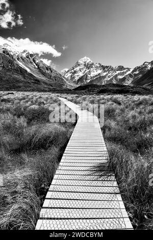 Spectaculaire promenade en bois noir-blanc dans la plaine pittoresque du parc national de Mout Cook Aoraki menant au Mont Cook en Nouvelle-Zélande. Banque D'Images