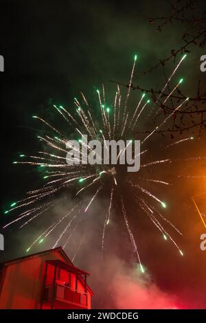 Des feux d'artifice colorés explosent au-dessus des arbres lors d'une célébration nocturne, Stuttgart Birkach, Allemagne Banque D'Images