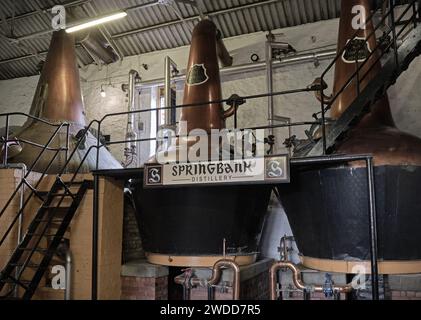 Stills en pot de cuivre à la distillerie Springbank, Campbeltown, Kintyre, Écosse Banque D'Images