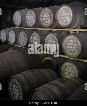 Fûts de whisky, Springbank Distillery, Campbeltown, Kintyre, Écosse Banque D'Images