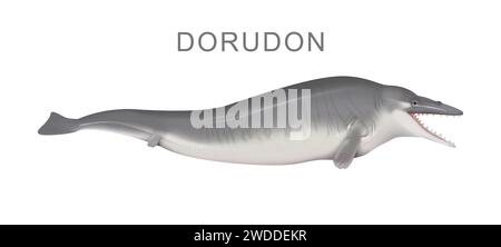 Illustration de l'ancienne baleine Dorudon Banque D'Images