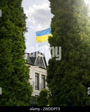 Drapeau ukrainien en cèdres blancs belle fenêtre et un fond de ciel Banque D'Images