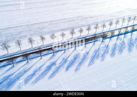 Hiver à Brandebourg DEU/Deutschland/Brandenburg/Welzow, 20.01.2024, hiver à Brandebourg, Schnee liegen auf Felden neben einer Landstrasse in den brandenburgischen Lausitz nahe der Ortschaft Welzow, Luftaufnahme mit einer Drohne. *** Hiver à Brandebourg DEU Allemagne Brandebourg Welzow, 20 01 2024, hiver à Brandebourg, neige couchée sur des champs à côté d'une route de campagne dans le Brandebourg Lausitz près du village de Welzow, vue aérienne avec un drone AF Welzow 28583.jpeg Banque D'Images