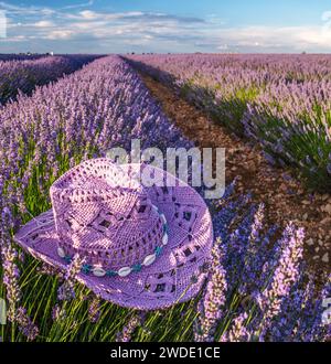 Chapeau de soleil violet sur le buisson de lavande dans le champ de lavande en fleur. Brihuega, Espagne. Banque D'Images