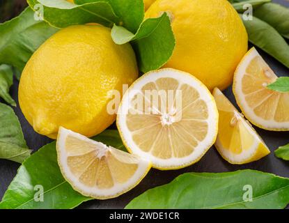 Fruits de citron mûrs avec des tranches et des feuilles de citron sur une table en pierre grise. Joli fond d'agrumes de fruits pour vos projets. Banque D'Images