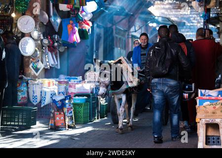 Marrakech, Maroc - 28 février 2022 : dans les rues étroites de l'ancien quartier de Medina, des charrettes tirées par des ânes sont toujours utilisées pour le transport de marchandises. Banque D'Images