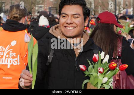 Un touriste tient un bouquet de tulipes pose pour une photo alors que des milliers de personnes assistent à la Journée nationale des tulipes sur la place du Musée près du Rijskmuseum le 20 janvier 2024 à Amsterdam, aux pays-Bas. Aujourd'hui marque le début officiel de la saison des tulipes avec un jardin spécial de cueillette des tulipes où les gens peuvent cueillir des tulipes gratuitement. Cette année, une célébration supplémentaire, le 12e anniversaire du jardin de cueillette, organisé par les producteurs de tulipes néerlandais, la place du Musée d'Amsterdam est remplie d'environ 200 000 tulipes. Ces tulipes sont spécialement aménagées pour faire un jardin temporaire géant. Quelque 1,7 milliards de tulipes hollandaises sont en plus Banque D'Images