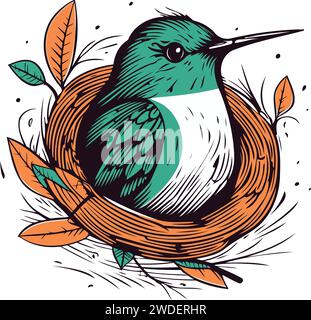 Illustration vectorielle dessinée à la main d'un colibri assis dans un nid. Illustration de Vecteur