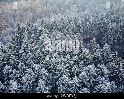 Des sapins enneigés à Kraichgau, en Allemagne photographiés d'en haut avec un drone. Banque D'Images