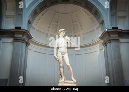 Statue de David de Michel-Ange, Galerie de l'Académie, Florence, Italie, Europe Banque D'Images