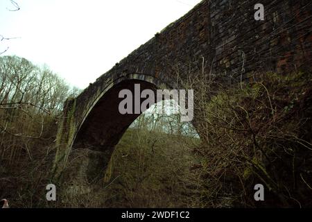 L'arche de Causey est un pont, Stanley, dans le comté de Durham, est le plus ancien pont ferroviaire à arche unique au monde Banque D'Images