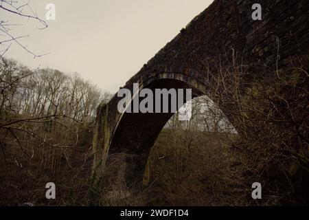 L'arche de Causey est un pont, Stanley, dans le comté de Durham, est le plus ancien pont ferroviaire à arche unique au monde Banque D'Images