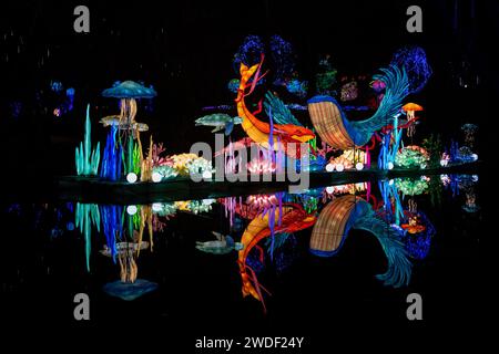 Zoolumination Float au zoo de Nashville Banque D'Images