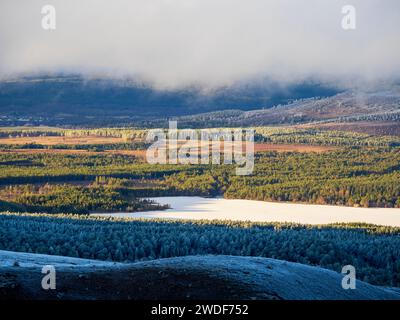 Regardant vers le bas sur un Loch Morlich gelé et enneigé avec du gel de canular sur Scots Pine dans la forêt de pins calédoniens dans les Cairngorms, au-dessus d'Aviemore, SCO Banque D'Images