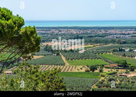 Vue panoramique dans le village de Castagneto Carducci, dans la province de Livourne, Toscane, Italie. Banque D'Images