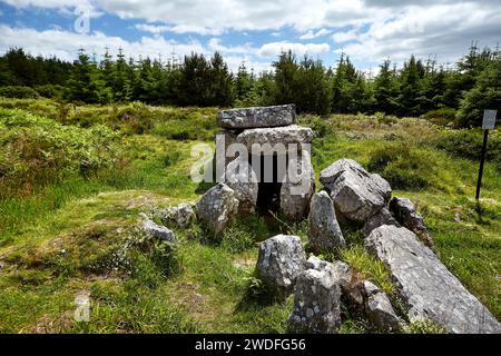 Tombe de Duntryleague passage, comté de Limerick. Banque D'Images