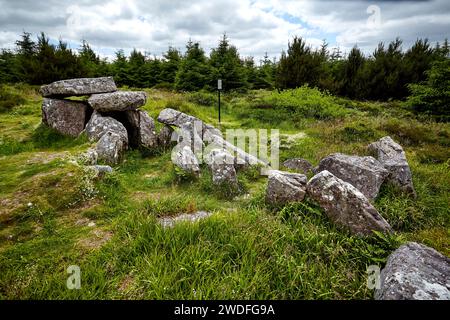 Tombe de Duntryleague passage, comté de Limerick. Banque D'Images