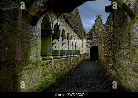 Le cloître de Ross Errilly Friary, comté de Galway, Irlande Banque D'Images