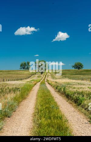 Un sentier de prairie dans la vallée de la rivière souris, ouest du Manitoba, Canada. Banque D'Images