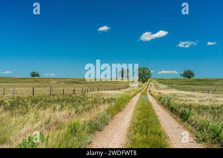 Un sentier de prairie dans la vallée de la rivière souris, ouest du Manitoba, Canada. Banque D'Images