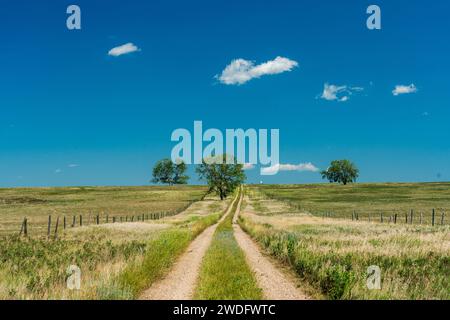 Un sentier de prairie dans la vallée de la rivière souris, ouest du Manitoba, Canada. Banque D'Images