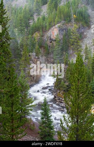 Cascades le long de la rivière Firehole dans le parc national de Yellowstone, Wyoming, États-Unis. Banque D'Images