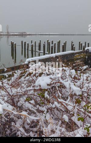Scène hivernale au-dessus de Steveston Inlet en Colombie-Britannique Canada Banque D'Images