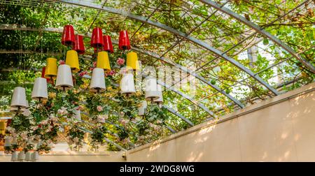 Fleurs poussant à l'envers dans des pots colorés suspendus au toit à cadre métallique, Corée du Sud, Corée du Sud Banque D'Images