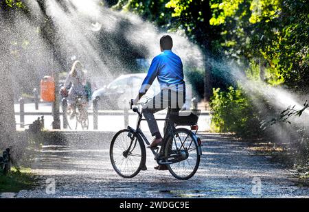 Un cycliste se rafraîchit avec un arroseur de pelouse dans le Tiergarten de Berlin, 03/08/2022 Banque D'Images