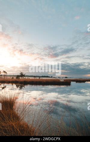 Un ciel coloré et le soleil matinal illuminent un chemin sablonneux et un paysage enveloppé de brouillard au Grenspark Kalmthoutse Heide près d’Anvers dans le nord-ouest Banque D'Images