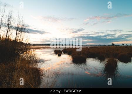 Un ciel coloré et le soleil matinal illuminent un chemin sablonneux et un paysage enveloppé de brouillard au Grenspark Kalmthoutse Heide près d’Anvers dans le nord-ouest Banque D'Images