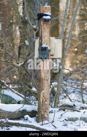 Piège à caméra près d'un siège haut pour les chasseurs et les gardiens de chasse dans la forêt. république tchèque nature. Banque D'Images