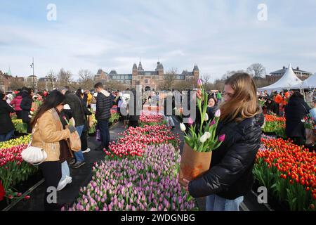 Un homme tient un bouquet de tulipes alors que des milliers de personnes ramassaient des tulipes gratuites pendant la Journée nationale des tulipes sur la place du Musée près du Rijskmuseum le 2 janvier Banque D'Images