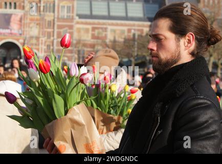 Un homme tient un bouquet de tulipes alors que des milliers de personnes ramassaient des tulipes gratuites pendant la Journée nationale des tulipes sur la place du Musée près du Rijskmuseum le 2 janvier Banque D'Images