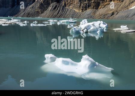 Des icebergs flottent dans le lac Upper Grinnell dans le parc national Glacier du montana par un bel après-midi. Banque D'Images